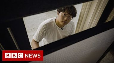 Seoul promises to ban ‘Parasite’-vogue banjiha underground residences – BBC Info
