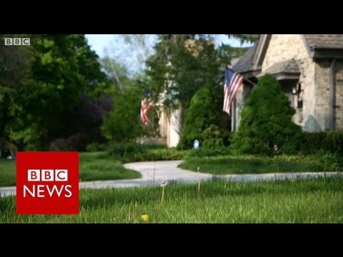 Within the mind of white The united states – BBC Info