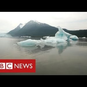 Alaska’s melting glaciers power of us from their properties as sea rises – BBC News