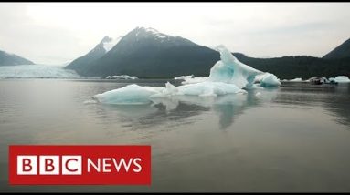 Alaska’s melting glaciers power of us from their properties as sea rises – BBC News