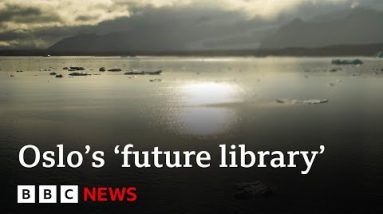 The ‘future library’ gathering books that will now no longer be read for 100 years – BBC Files