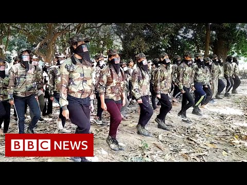 Contained in the of us’s resistance in Myanmar  – BBC Data
